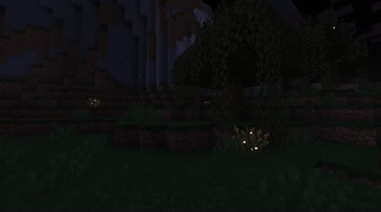 shot 2 (swamp)