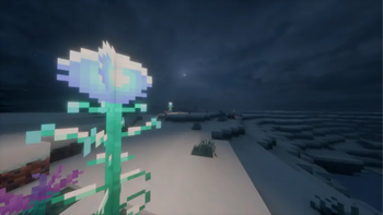 Snowy Plains With New Plants