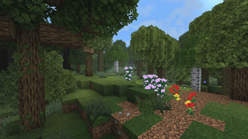 Forest terrain