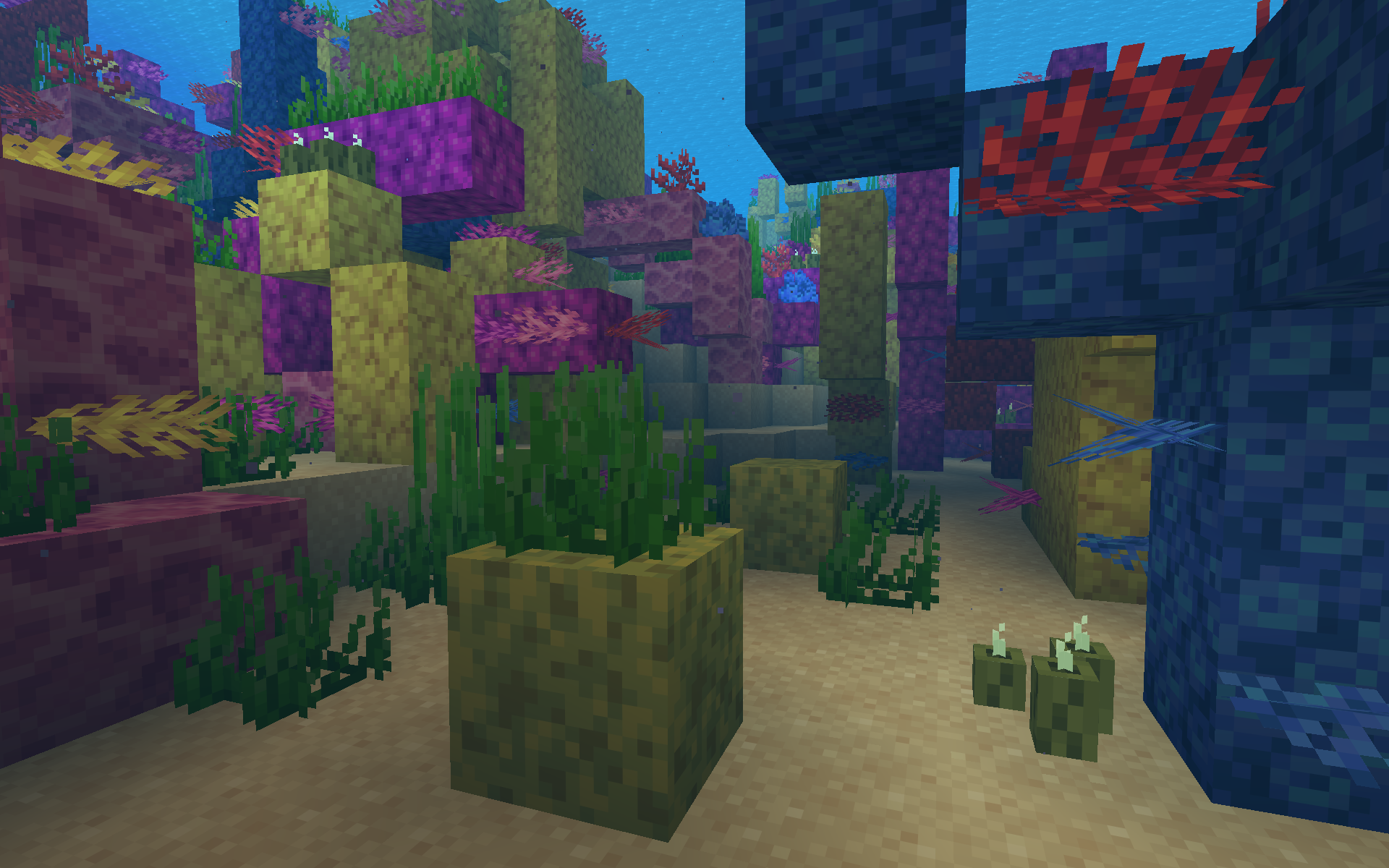 Spongey Reefs