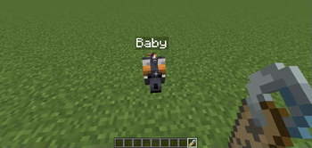 Mob called 'Baby'