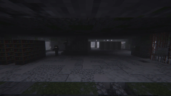 Survive the Infection
