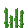 Updated Sugar Cane