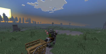 Travelling with horses!