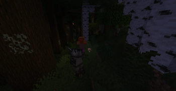 Hunting mobs at night!
