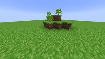 Hill
