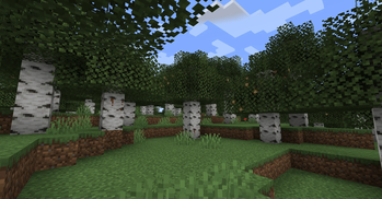 Hazelnut Trees