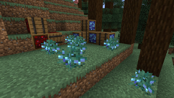 Elven Sweet Berries