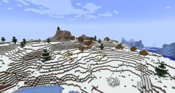 Snowy Plains Biome with a Village