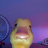Rykeex