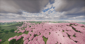 Medieval Horizons