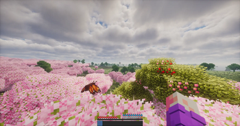 Medieval Horizons