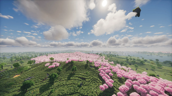 Medieval Horizons