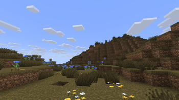 The Praire