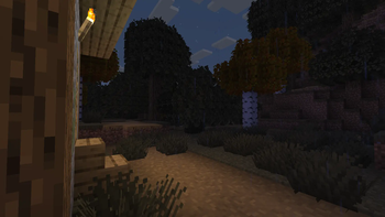 Village House At Night