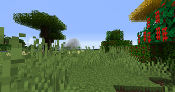 Brazillian Biomes Screenshot 1