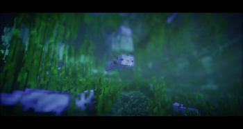 With Shaders