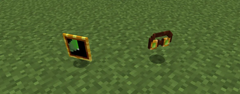 Items