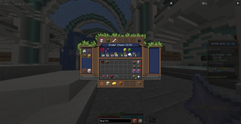 Ender chest page