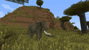 African Elephant