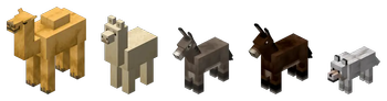 The caravan
