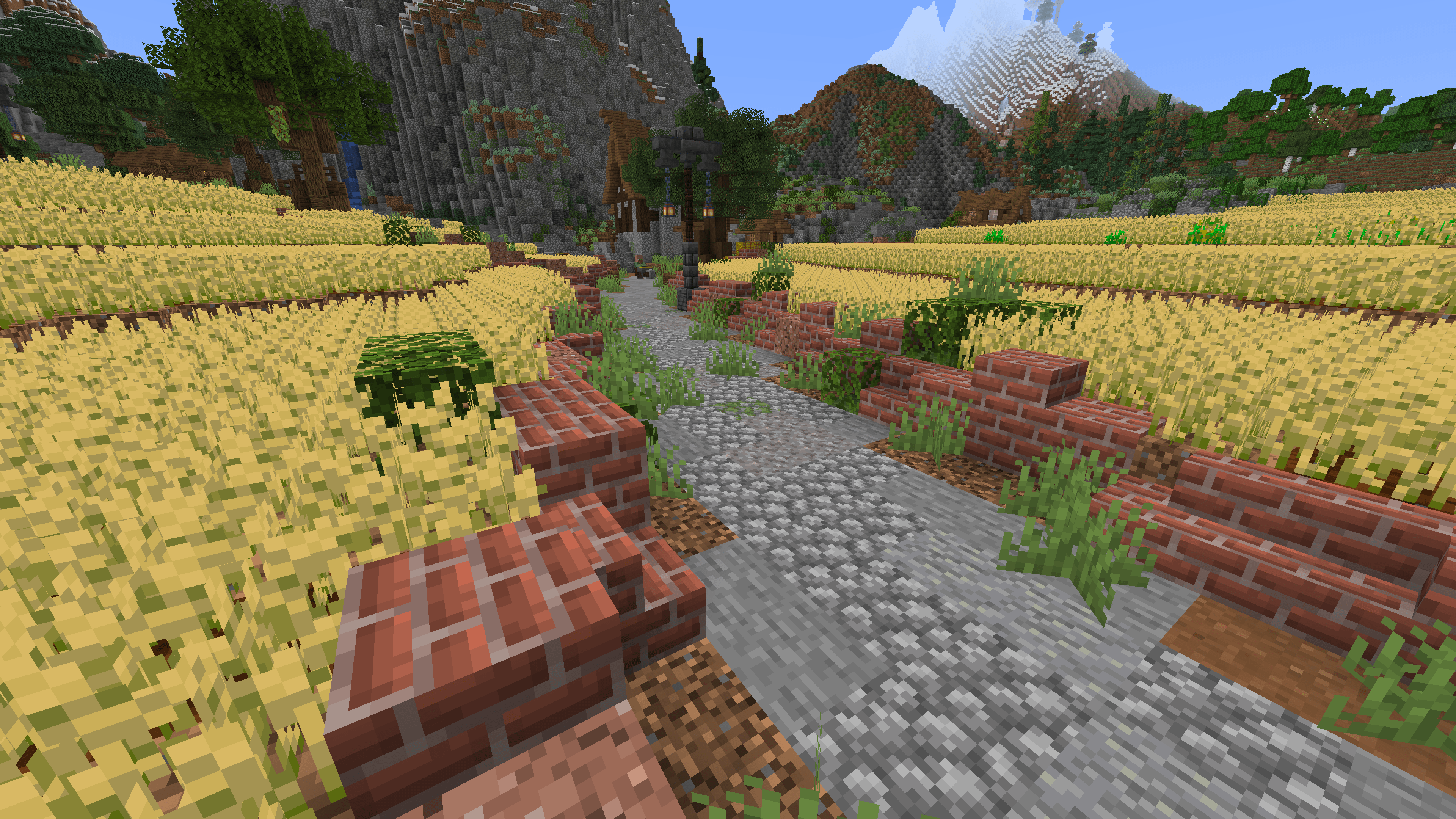 Short Grass on a cobblestone street