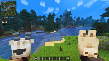Goat & Llama