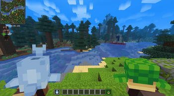 Dolphin & Turtle
