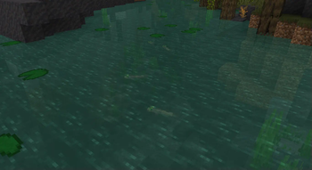Mangrove Swamp Four-Eyed Fish