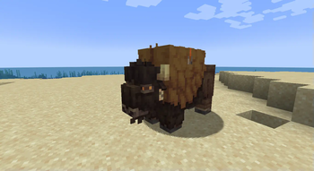 Bison with nametag & saddle