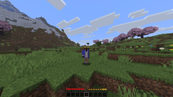Disabilities — screenshot 2