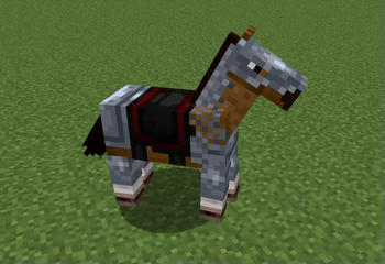 Horse armor.