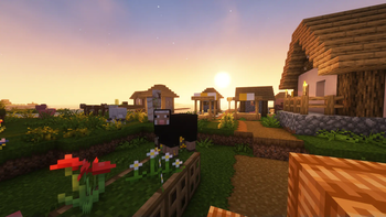 Shader & Resource Pack