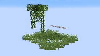 Vines, Dark Oak Leaves, Leaf Litter (Vanilla)