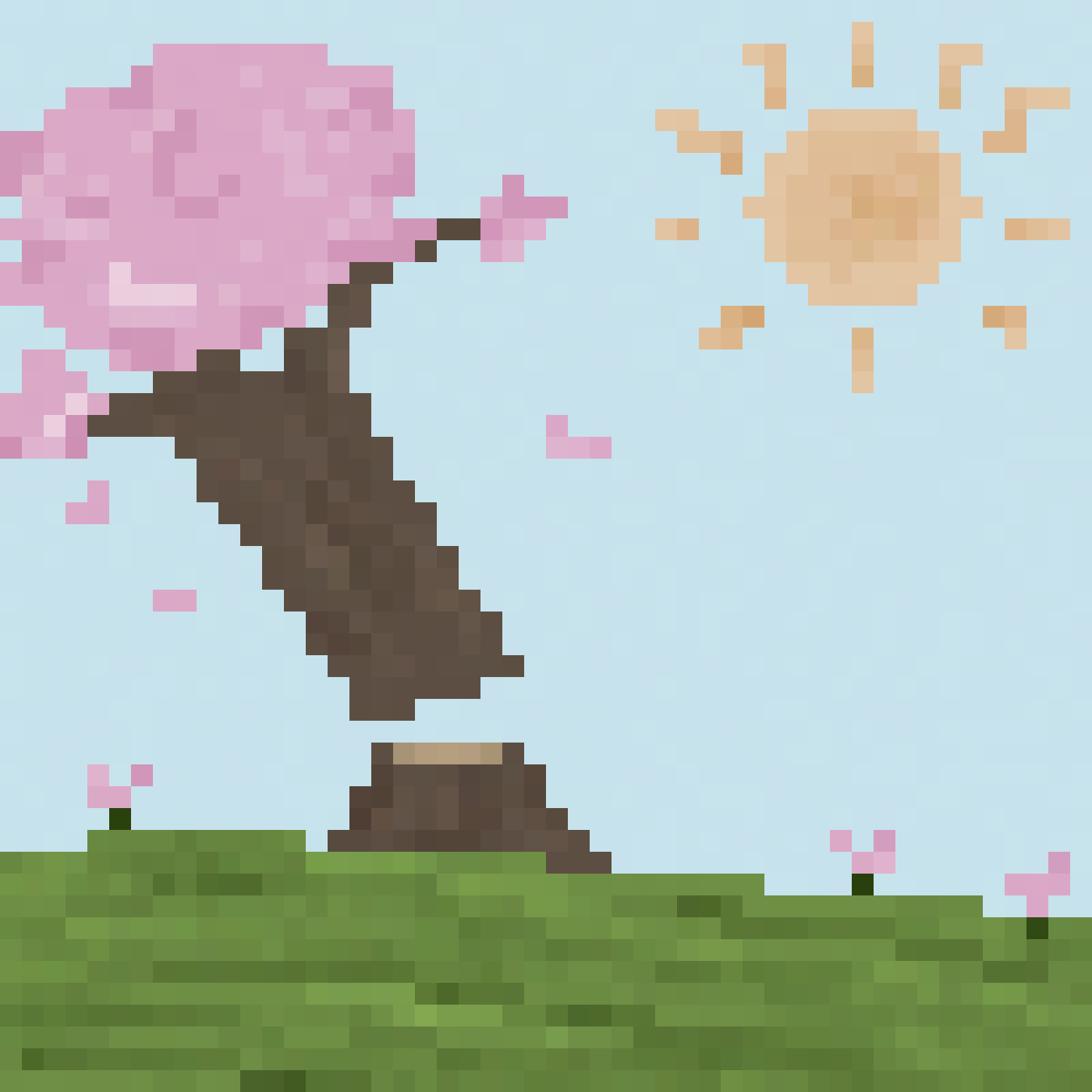 Ren's Timber