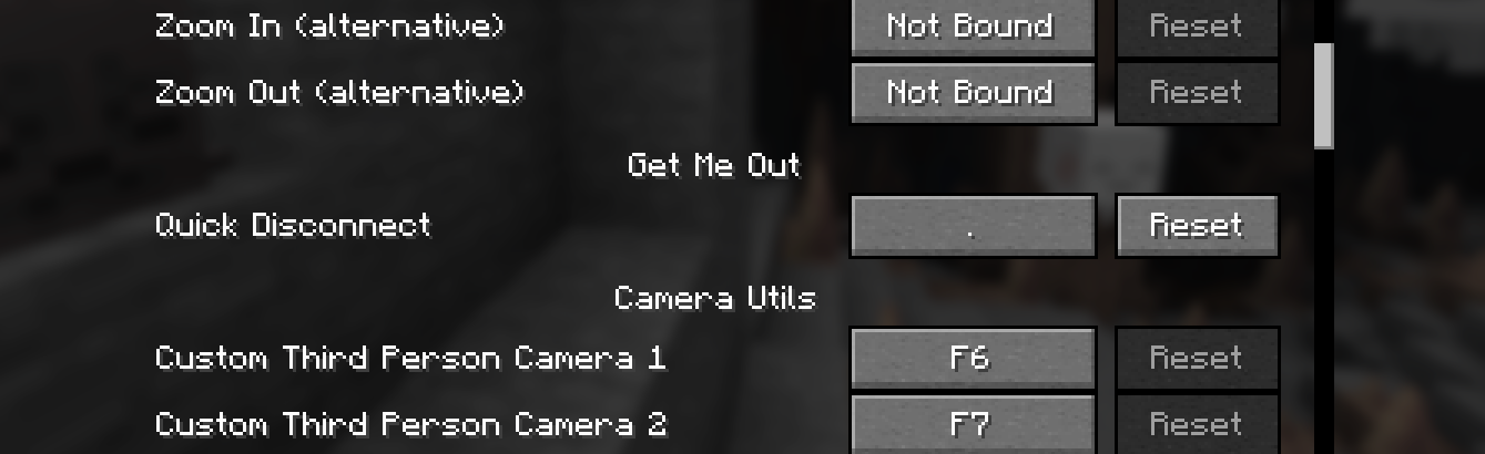 The Quick Disconnect hotkey set to Period within the Controls screen