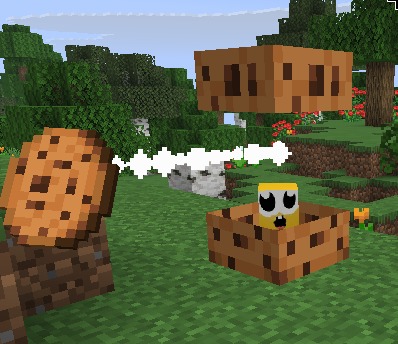 bebis shulker