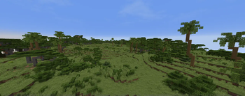 Humid Savanna 