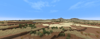 Xeric Shrubland 