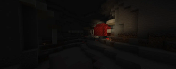 Mushroom Caves