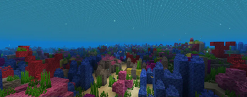 Reworked Coral Reef