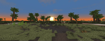 Desert Wetlands