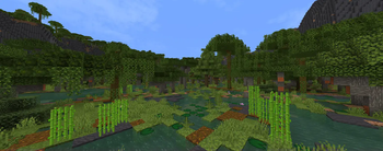 Tropical Wetlands