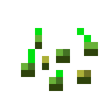 Crop harvest
