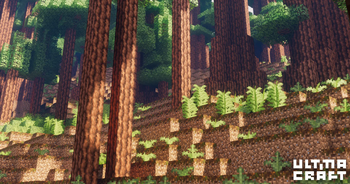 Biomes O' Plenty mod support