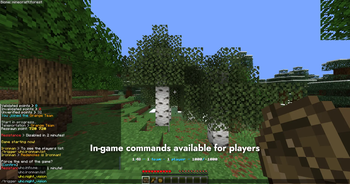 In-game commands
