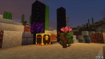 Portal