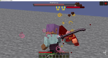 Execution