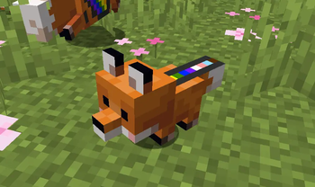 Baby fox