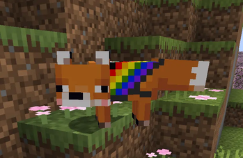 Adult fox.